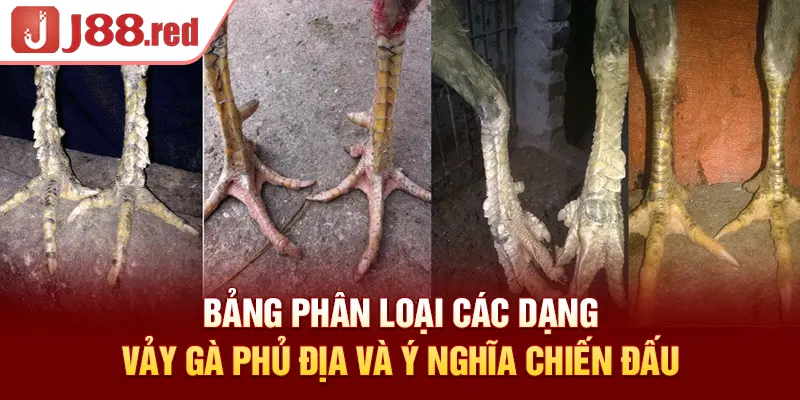 Bảng phân loại các dạng vảy gà phủ địa và ý nghĩa chiến đấu