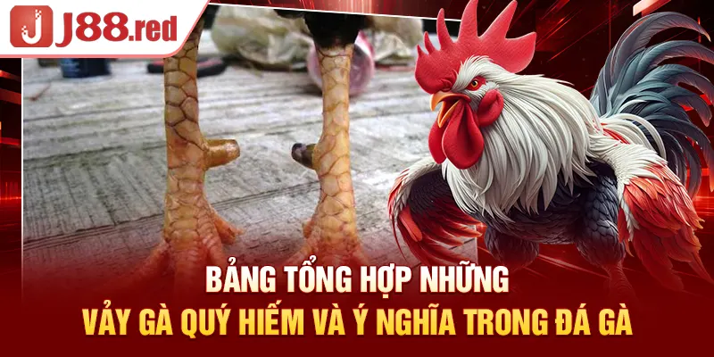 Bảng tổng hợp những vảy gà quý hiếm và ý nghĩa trong cá cược đá gà