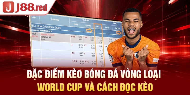 Đặc điểm kèo bóng đá vòng loại World Cup và cách đọc kèo