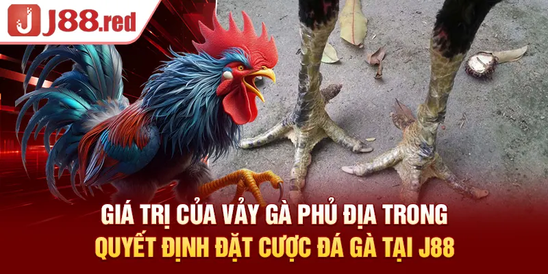 Giá trị của vảy gà phủ địa trong quyết định đặt cược đá gà tại J88