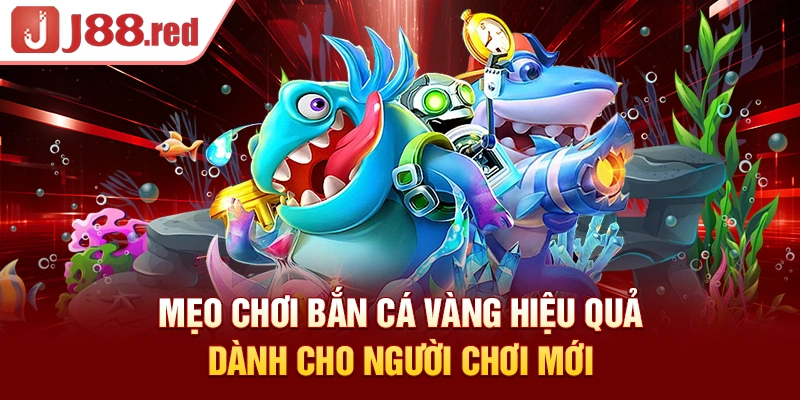 Mẹo chơi bắn cá vàng hiệu quả dành cho người chơi mới