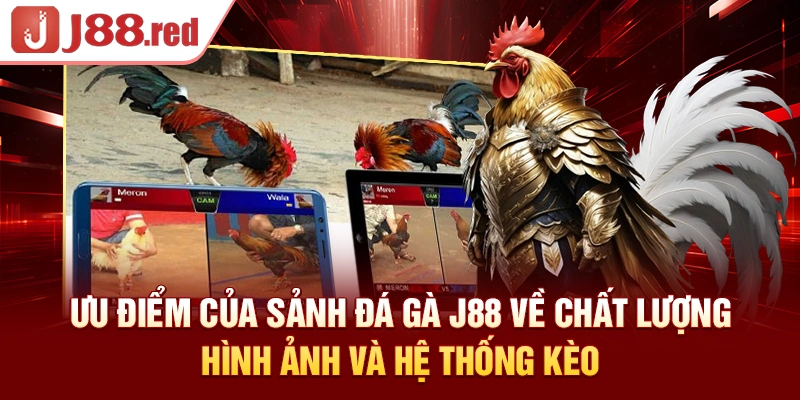 Ưu điểm nổi bật của sảnh đá gà J88 về phát sóng và hệ thống kèo